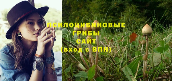 СК Арсеньев