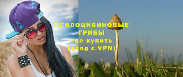 СК Арсеньев