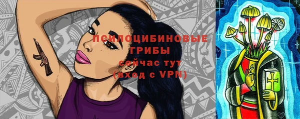 СК Арсеньев
