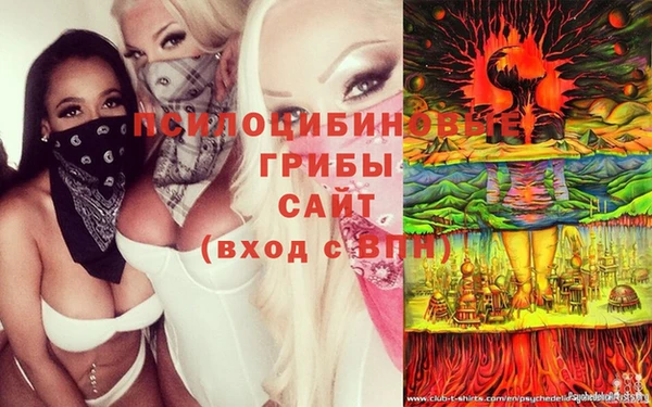 СК Арсеньев