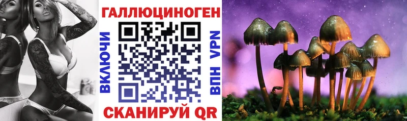 Галлюциногенные грибы Psilocybe  Кыштым 